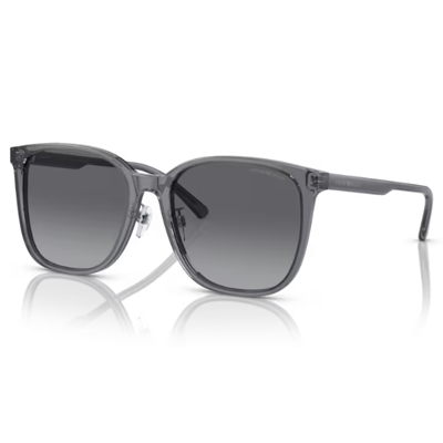 Emporio Armani EA4206D Sunglasses